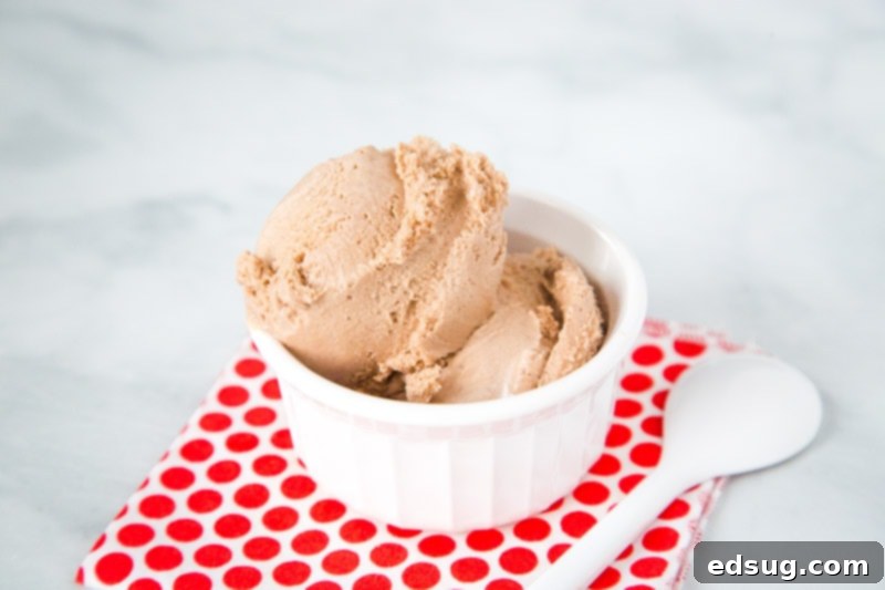 Decadent Nutella Ice Cream 5 A close-up of a bowl of Nutella Ice Cream, showcasing its creamy texture and rich color, ready to be enjoyed.