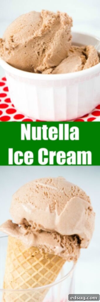 Decadent Nutella Ice Cream 6 A close-up image of creamy Nutella ice cream, showing its smooth texture and rich color, possibly with a slight swirl.