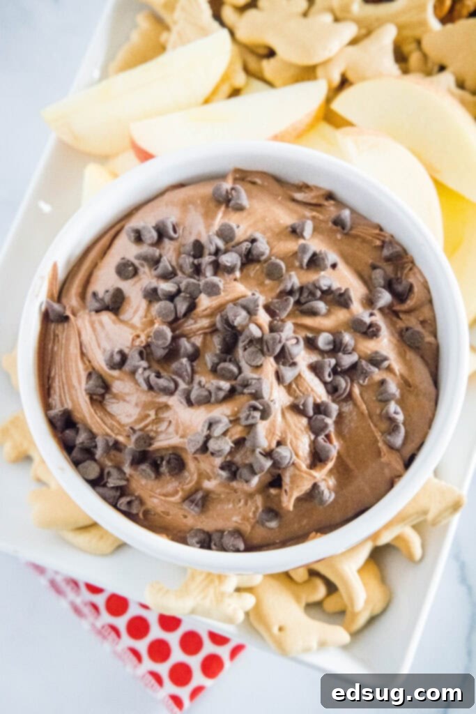An overhead shot of a glass bowl filled with rich, creamy brownie batter dip, garnished with a sprinkle of chocolate chips, ready for serving.