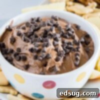 close up bowl of brownie batter dip topped with chocolate chips