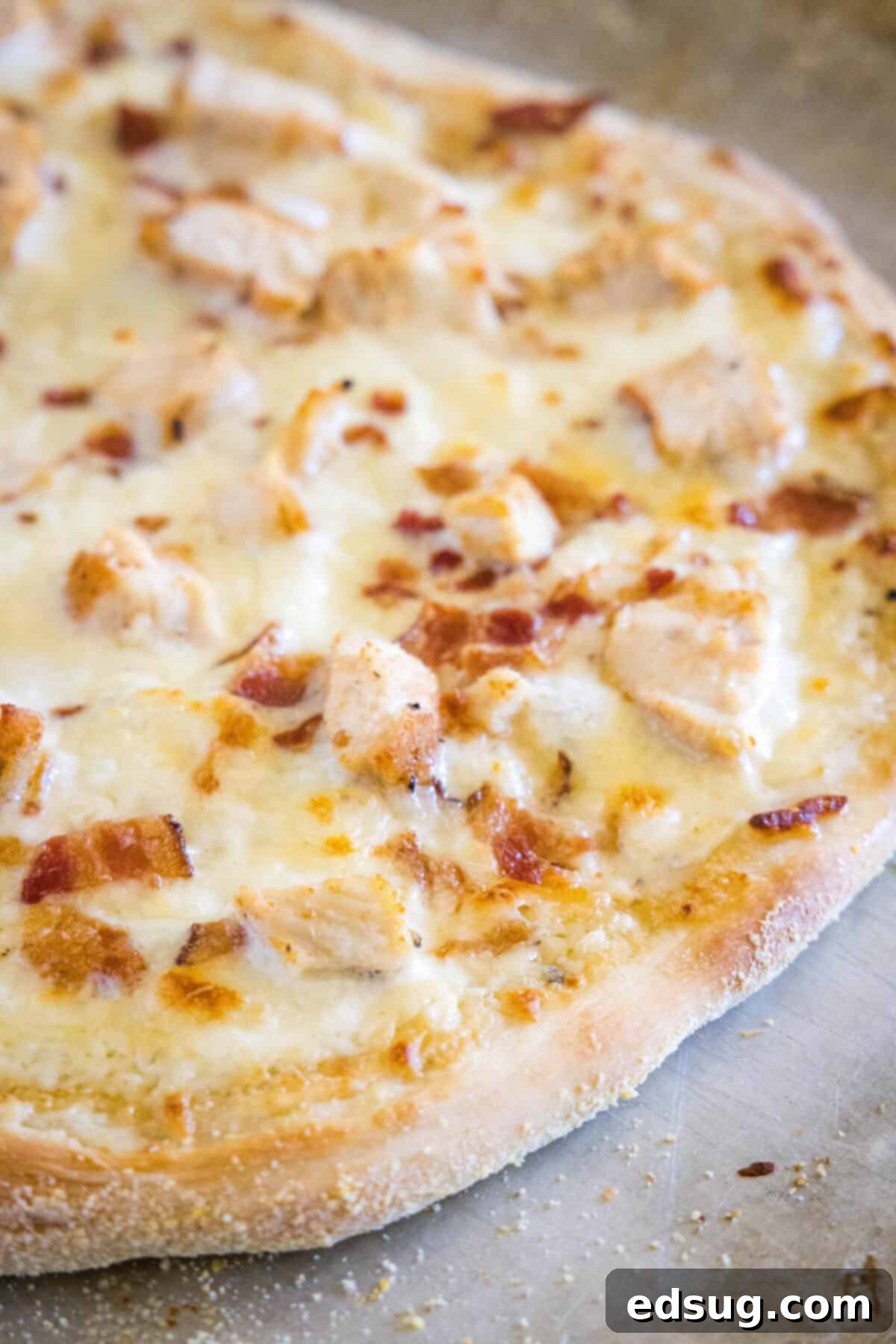 Freshly baked chicken alfredo pizza, golden brown with melted cheese and crispy edges.