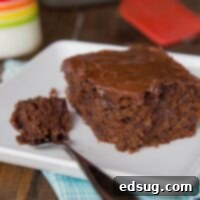 Secret Garden Chocolate Cake 3 A piece of chocolate cake on a plate