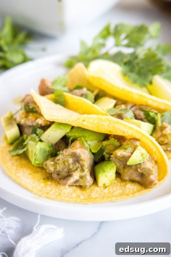 Pork Verde 6 Delicious pork tacos topped with green chili, avocado, and queso fresco on a white plate.