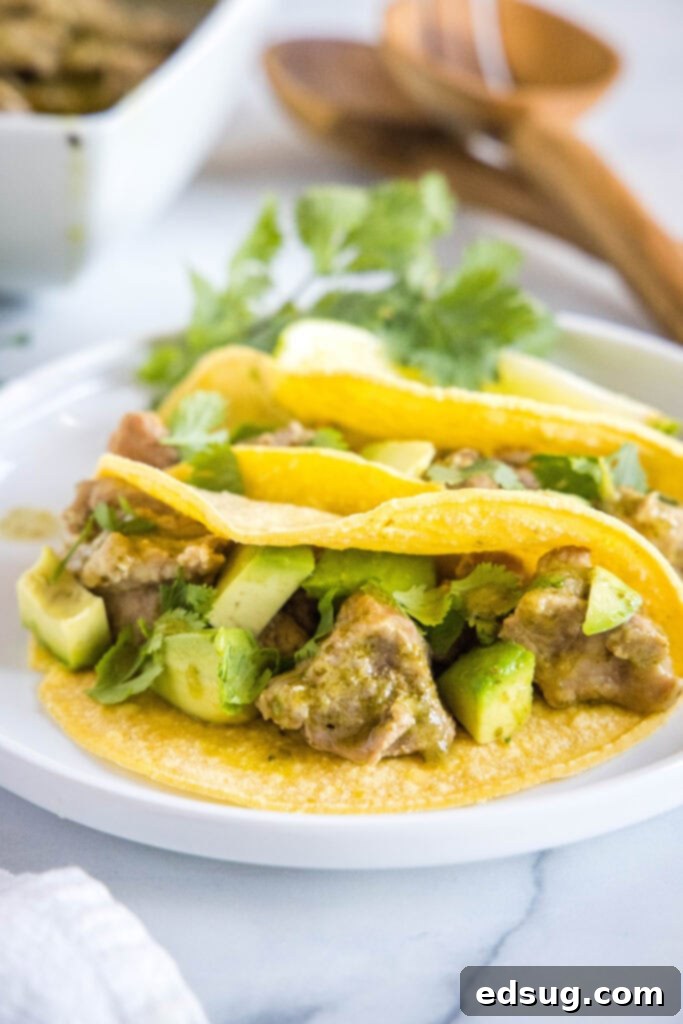 Pork Verde 9 A plate of two pork tacos, overflowing with savory green chili pork and fresh toppings.