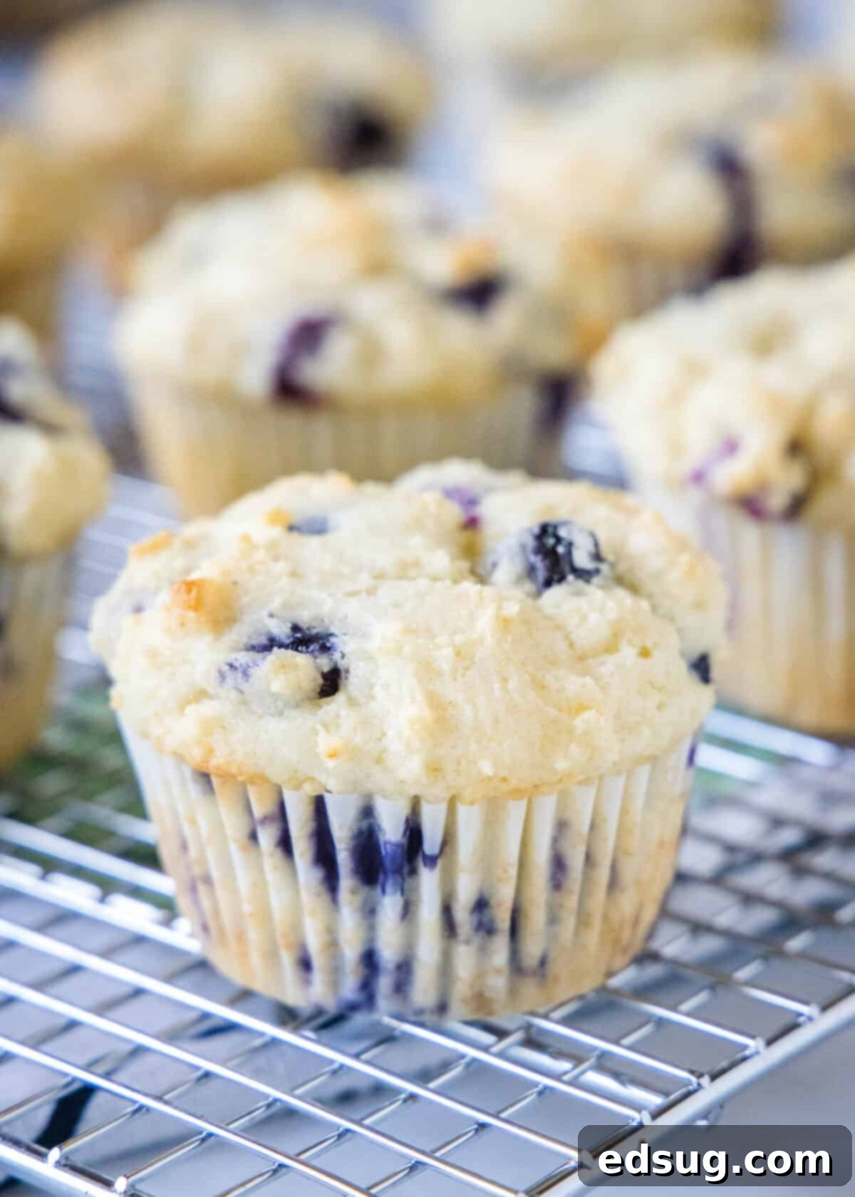 Effortless Blueberry Bliss 2 Freshly baked easy blueberry muffin on a cooling rack, ready to be enjoyed
