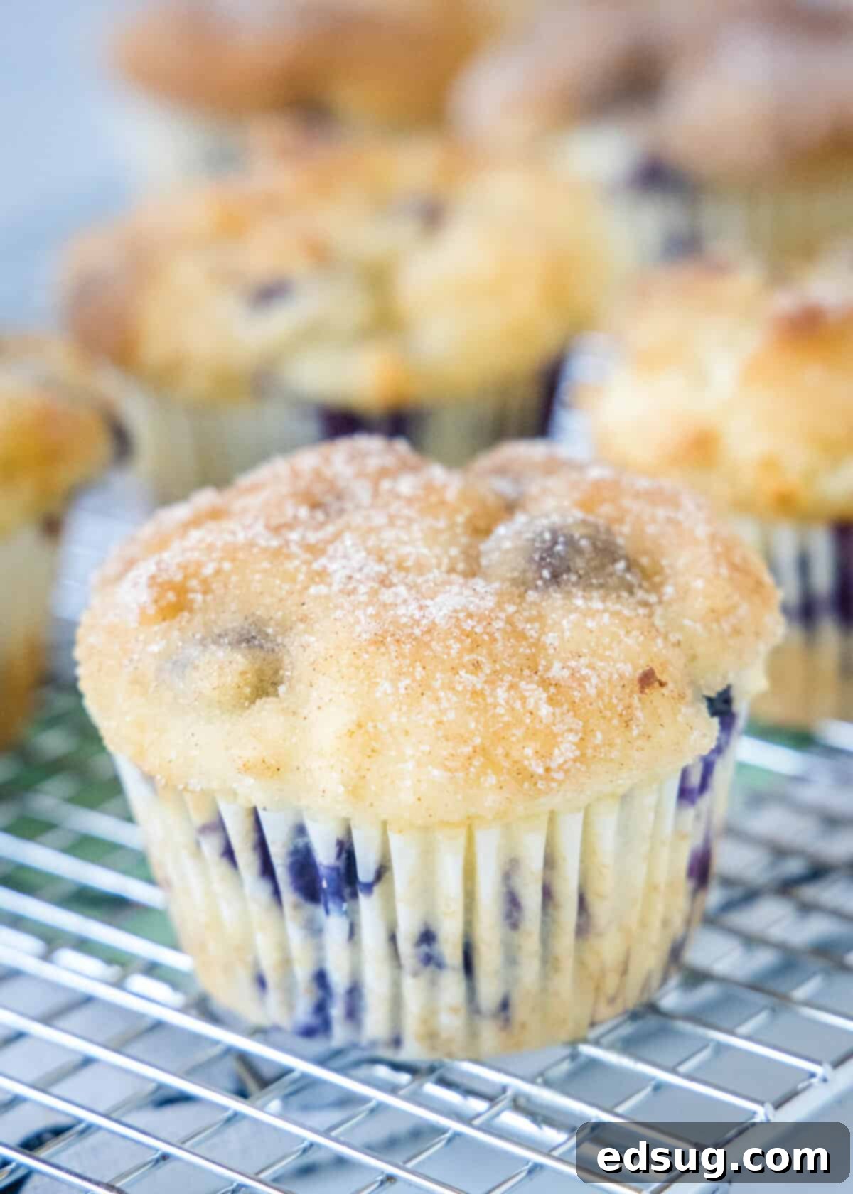 Effortless Blueberry Bliss 6 Blueberry muffin with a generous cinnamon sugar topping on a cooling rack