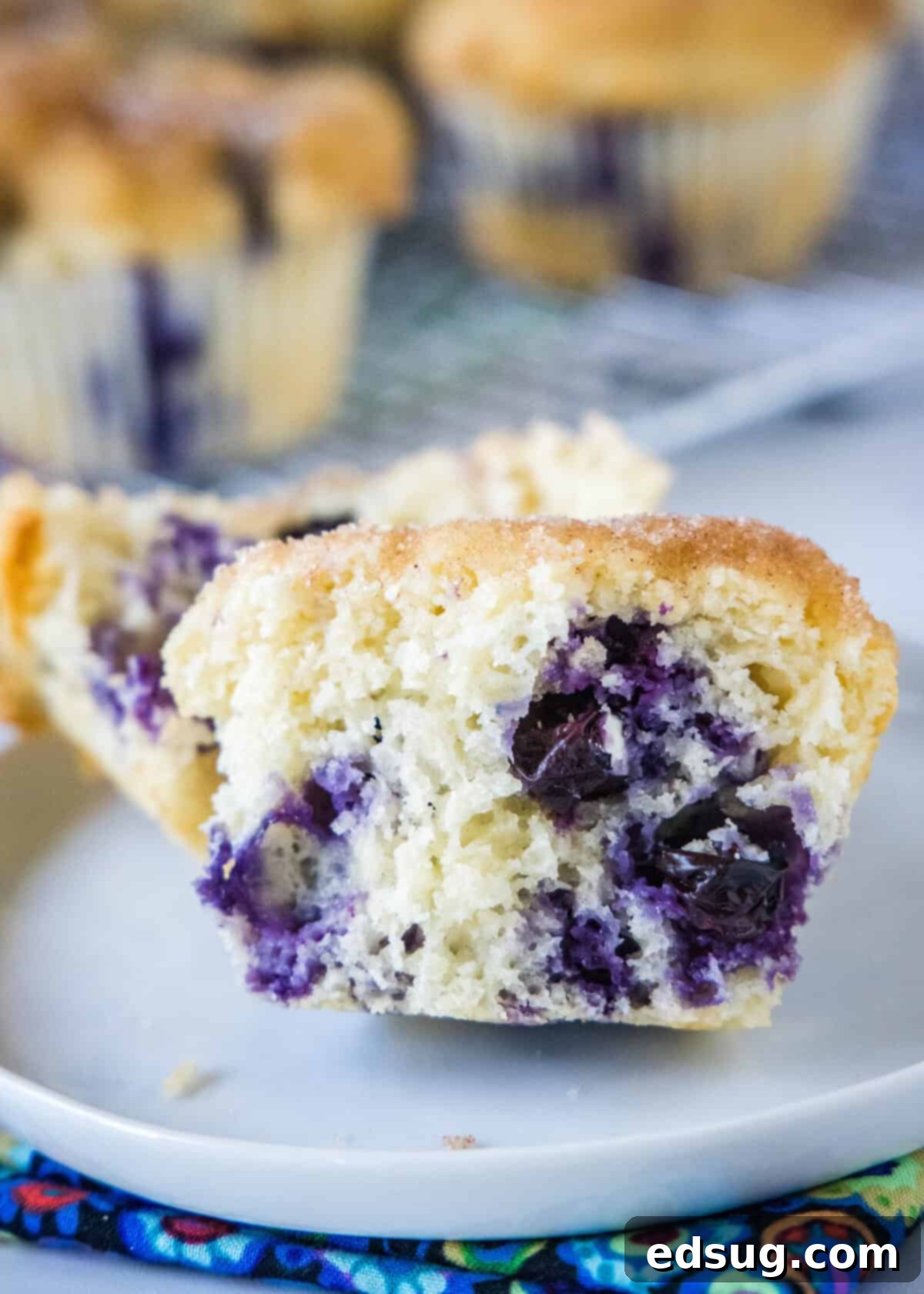 Effortless Blueberry Bliss 7 A warm, fluffy easy blueberry muffin broken in half to show its tender crumb and juicy blueberries