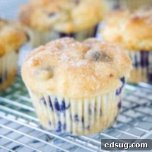 Effortless Blueberry Bliss 8 cropped close up of blueberry muffin on a cooling rack