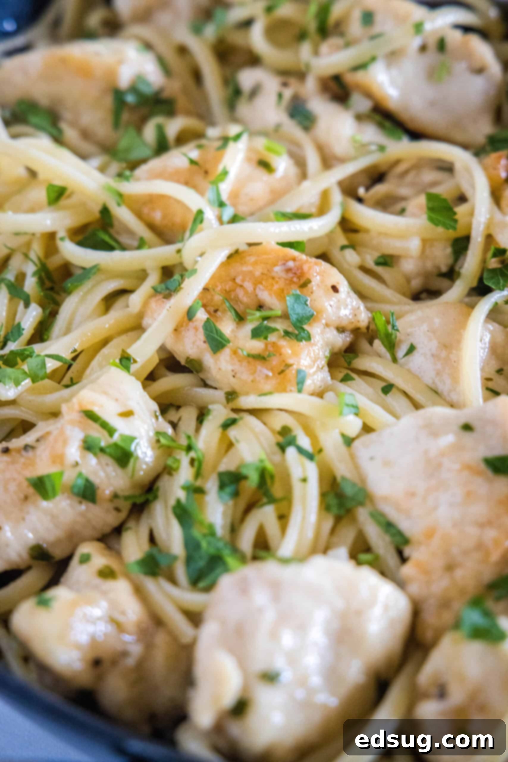 Close up of chicken scampi with spaghetti garnished with parsley in a skillet, ready to serve.