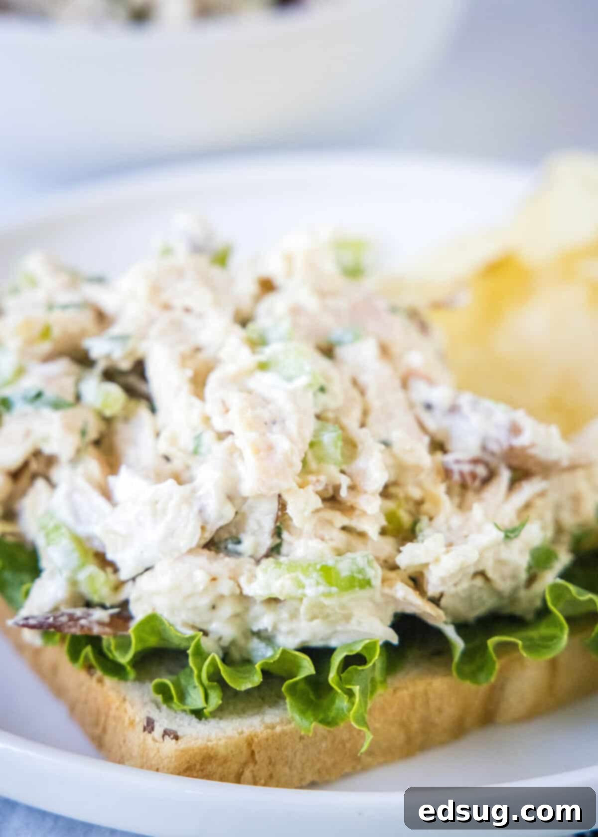 Effortless Rotisserie Chicken Salad 2 A serving of creamy rotisserie chicken salad on a slice of toasted bread with fresh lettuce, presented beautifully on a plate.