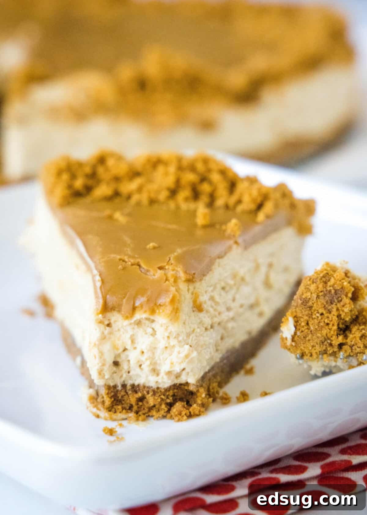 A perfectly sliced No-Bake Biscoff Cheesecake with a bite taken, revealing its creamy layers and cookie crust.