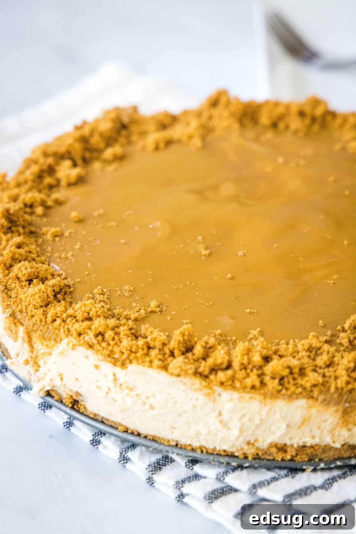 A whole No-Bake Biscoff Cheesecake sitting on a serving tray, garnished with cookie crumbs around the edge.
