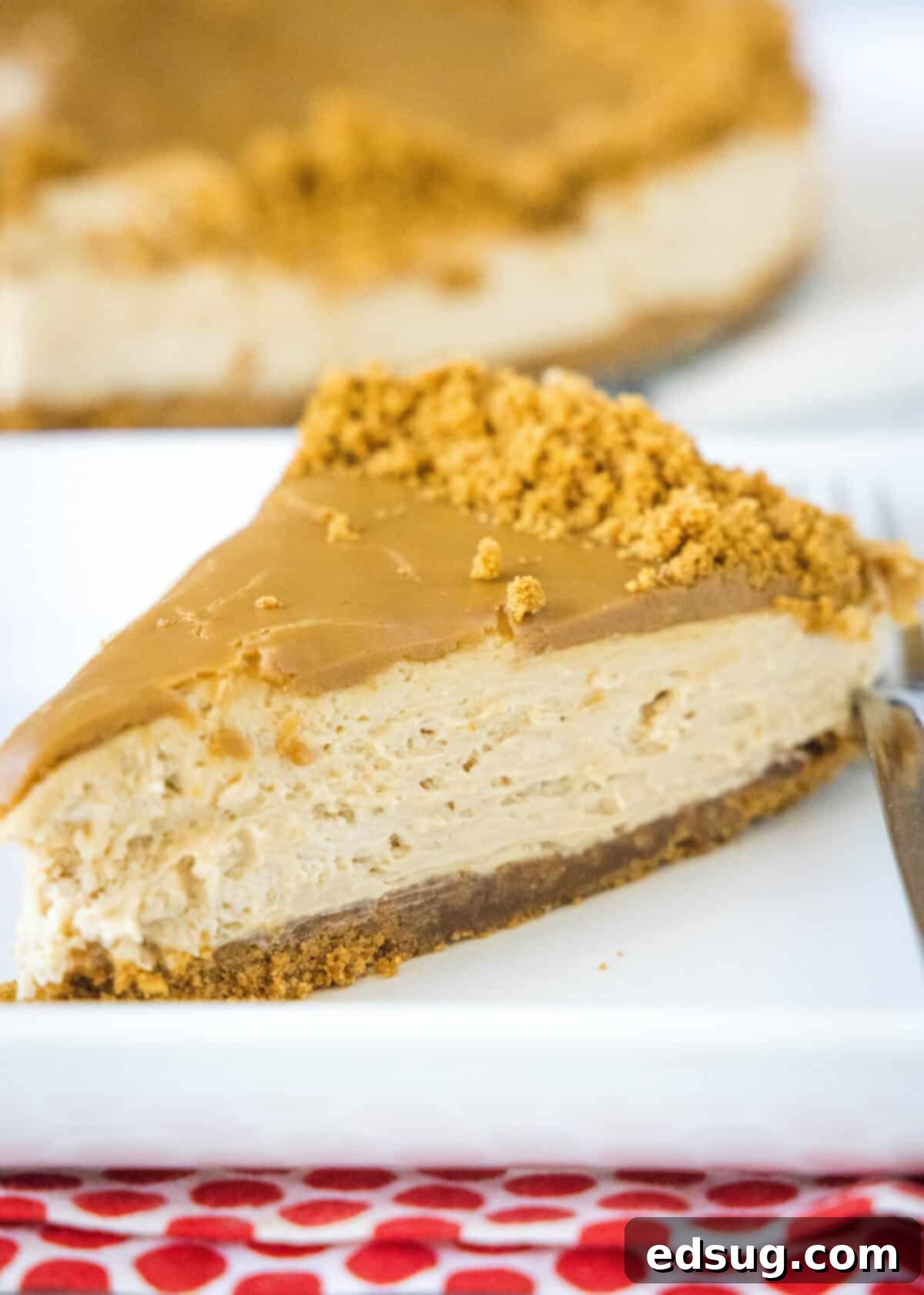 A pristine slice of No-Bake Biscoff Cheesecake on a white plate, showcasing its layers and smooth texture.