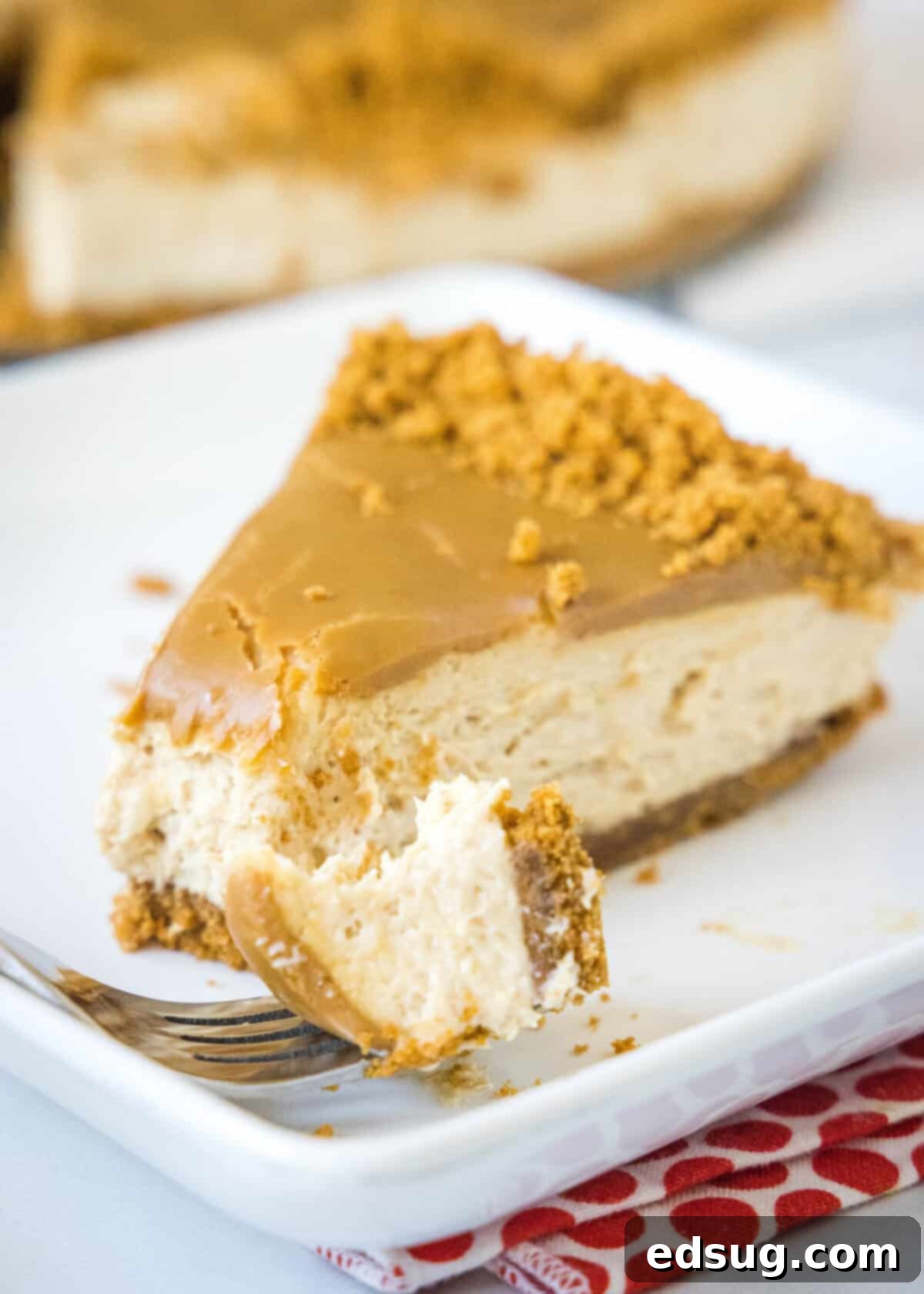 A fork holding a perfect bite of No-Bake Biscoff Cheesecake, showing the smooth filling and crumbly crust.