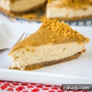 close up slice of no bake biscoff cheesecake on a plate