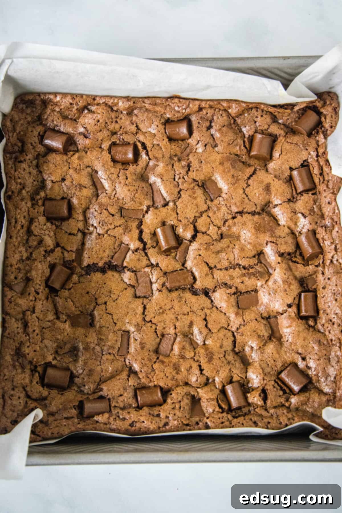 Decadent Chocolate Chunk Brownies 5 Overhead view of a pan of freshly baked Starbucks copycat brownies, showcasing their irresistible crackly top and rich chocolate color.