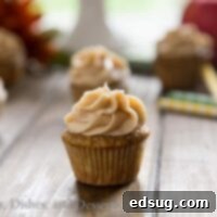 Spiced Apple Bliss Cupcakes 2 Apple Spice Cupcakes {Dinners, Dishes, and Desserts}