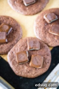 andes mint candies on top of baked cookies