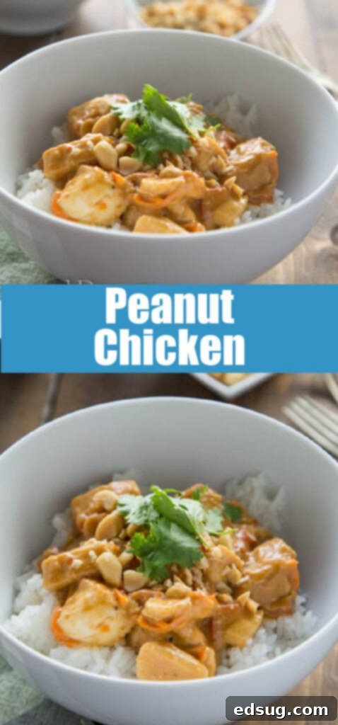 Creamy Peanut Chicken and Rice 2 Peanut chicken over rice in a bowl, garnished with chopped peanuts and cilantro