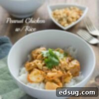 Creamy Peanut Chicken and Rice 3 Peanut Chicken with Rice - quick and easy dinner for any night of the week