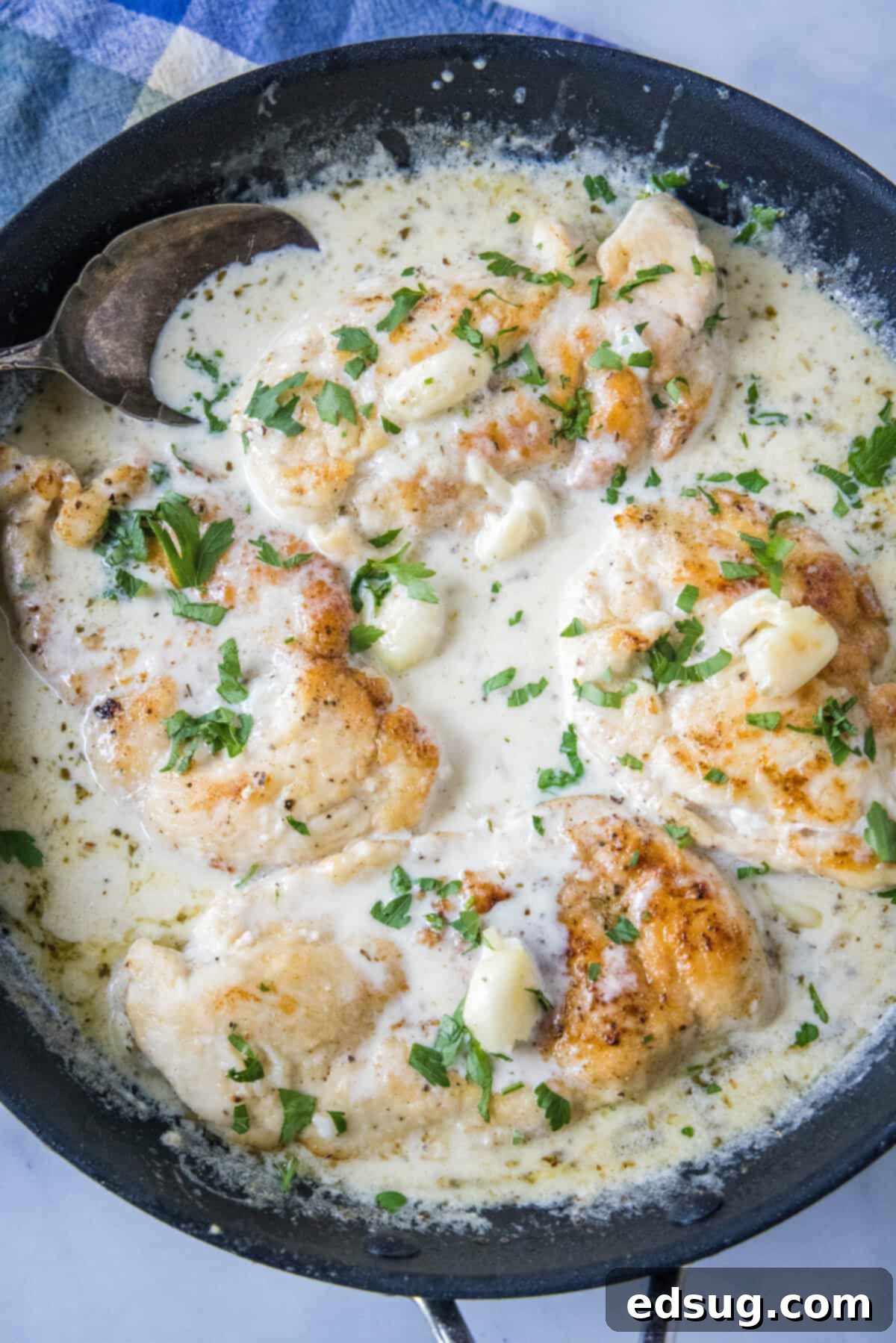 Overhead view of creamy garlic chicken in a skillet.