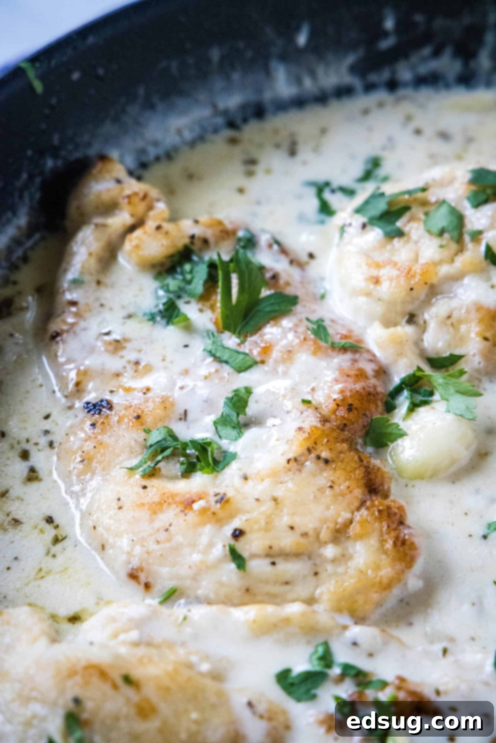 Close up of creamy garlic chicken garnished with parsley in a skillet.
