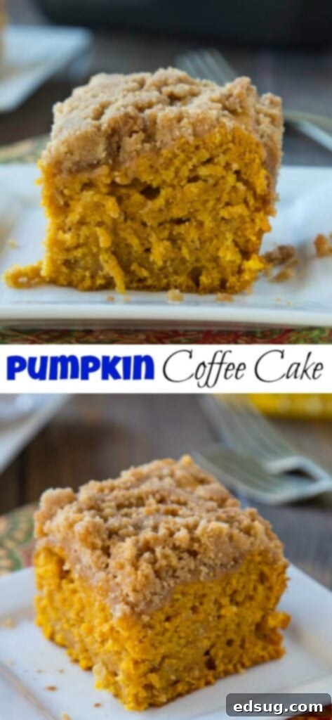 Spiced Pumpkin Coffee Cake 2 apple pumpkin coffee cake on a plate
