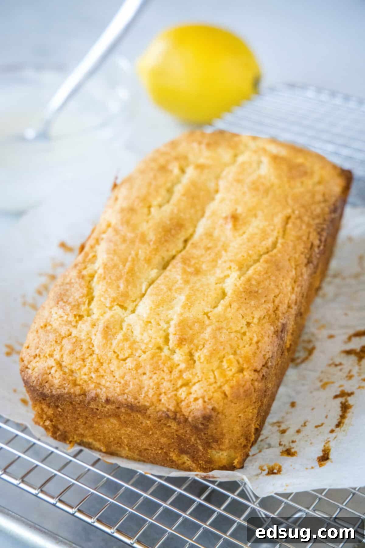 A perfectly baked, golden-brown lemon loaf resting on parchment paper atop a wire cooling rack.