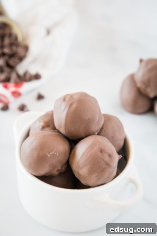Decadent Cookie Dough Truffles 4 Cookie dough balls dipped in chocolate