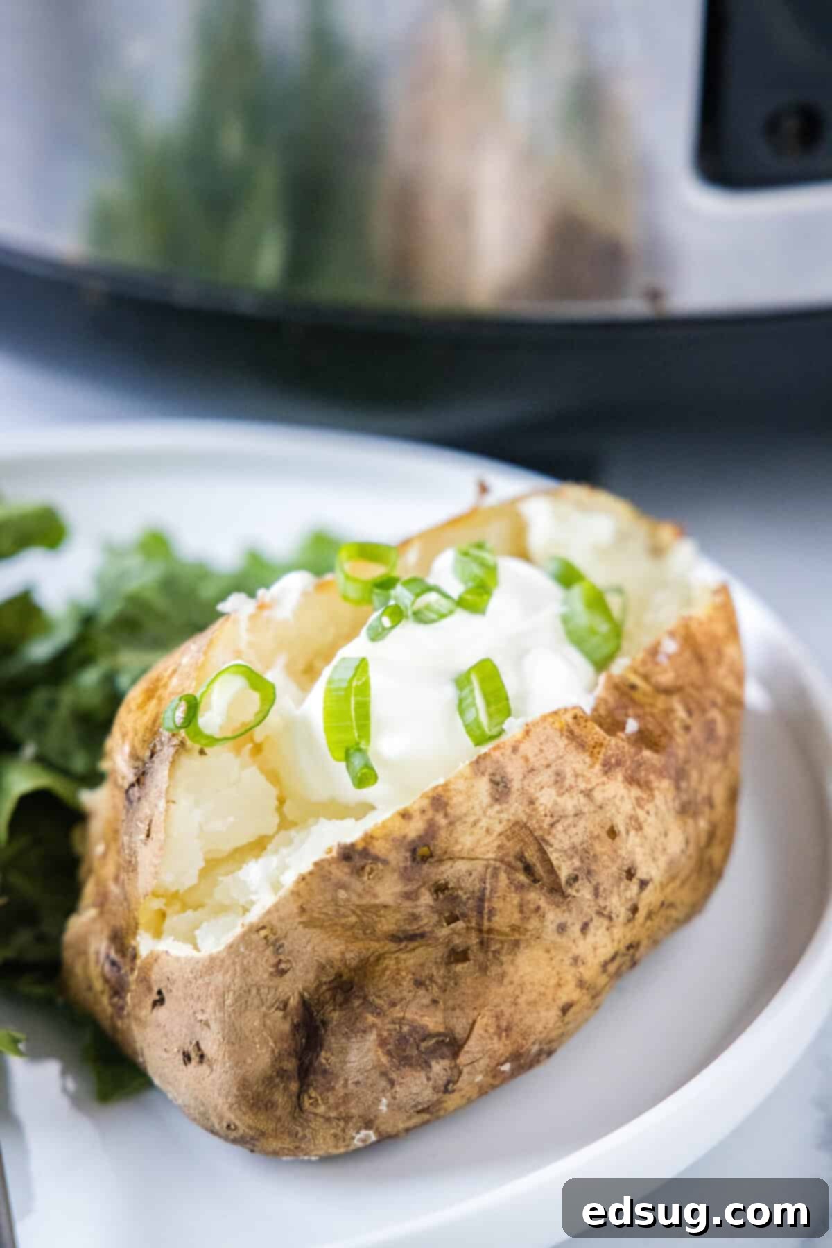 A beautifully baked potato on a white plate, topped with a generous dollop of sour cream and a sprinkle of fresh green herbs.