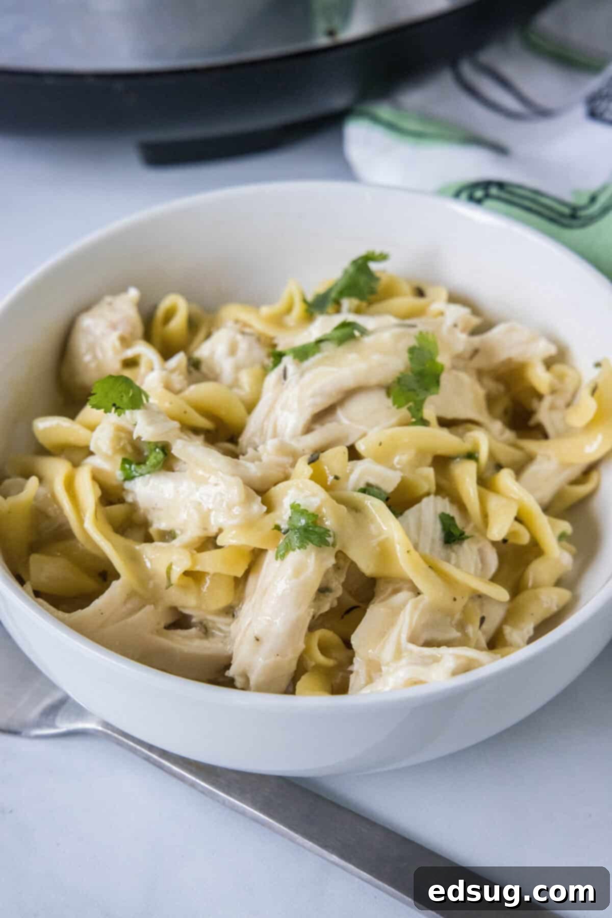 looking down on bowl of chicken and noodles