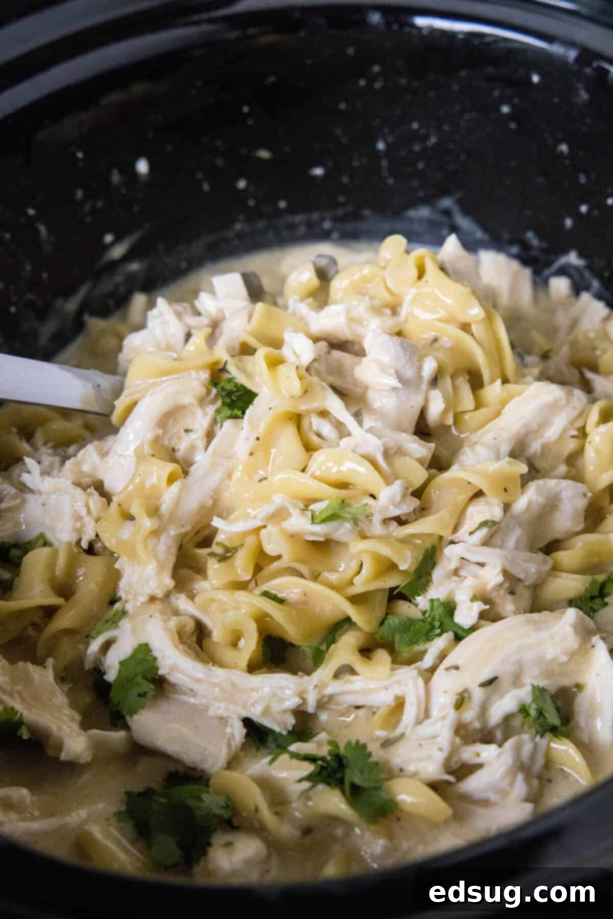 scooping chicken and noodles from crockpot