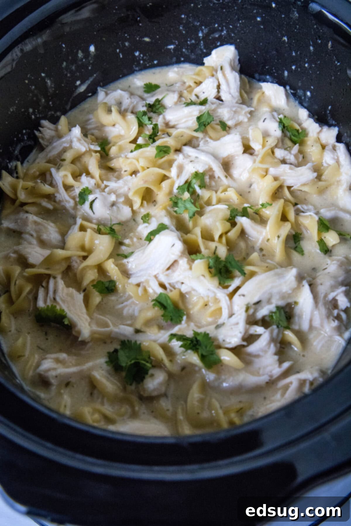 cooked chicken and noodles in slow cooker
