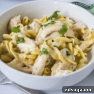 cropped close up crockpot chicken and noodles in a white bowl