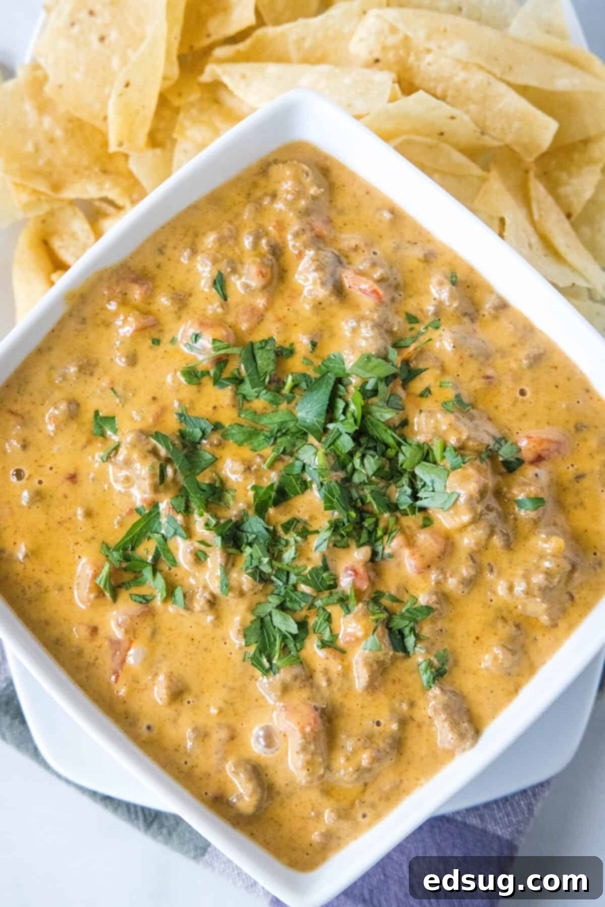 The Go-To Rotel Cheese Dip 6 looking down on bowl of cheesy rotel dip with chips around it