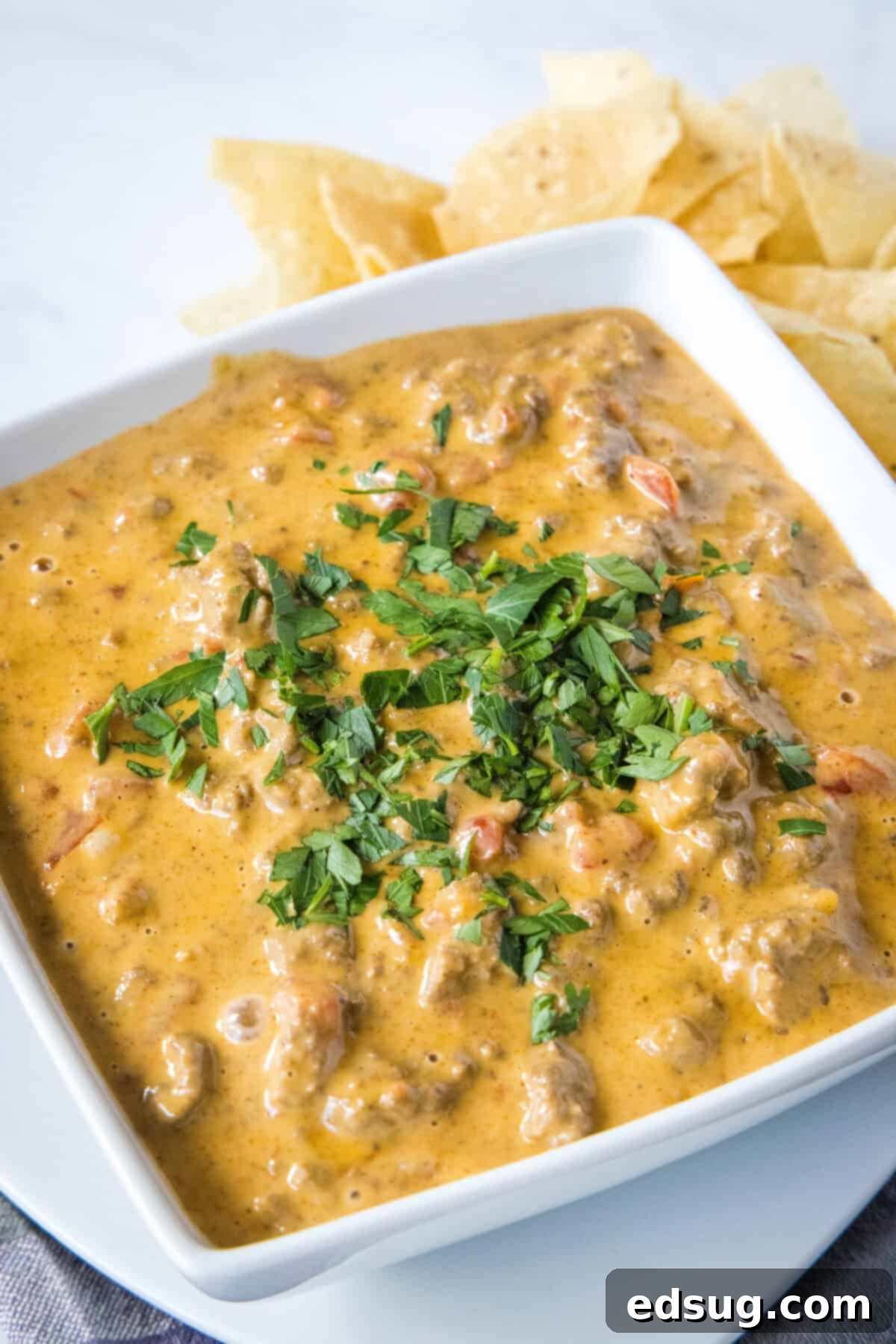 The Go-To Rotel Cheese Dip 7 rotel dip in a white serving bowl with tortilla chips