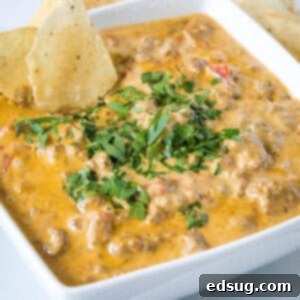 The Go-To Rotel Cheese Dip 8 cropped close up cheesy rotel dip in a bowl