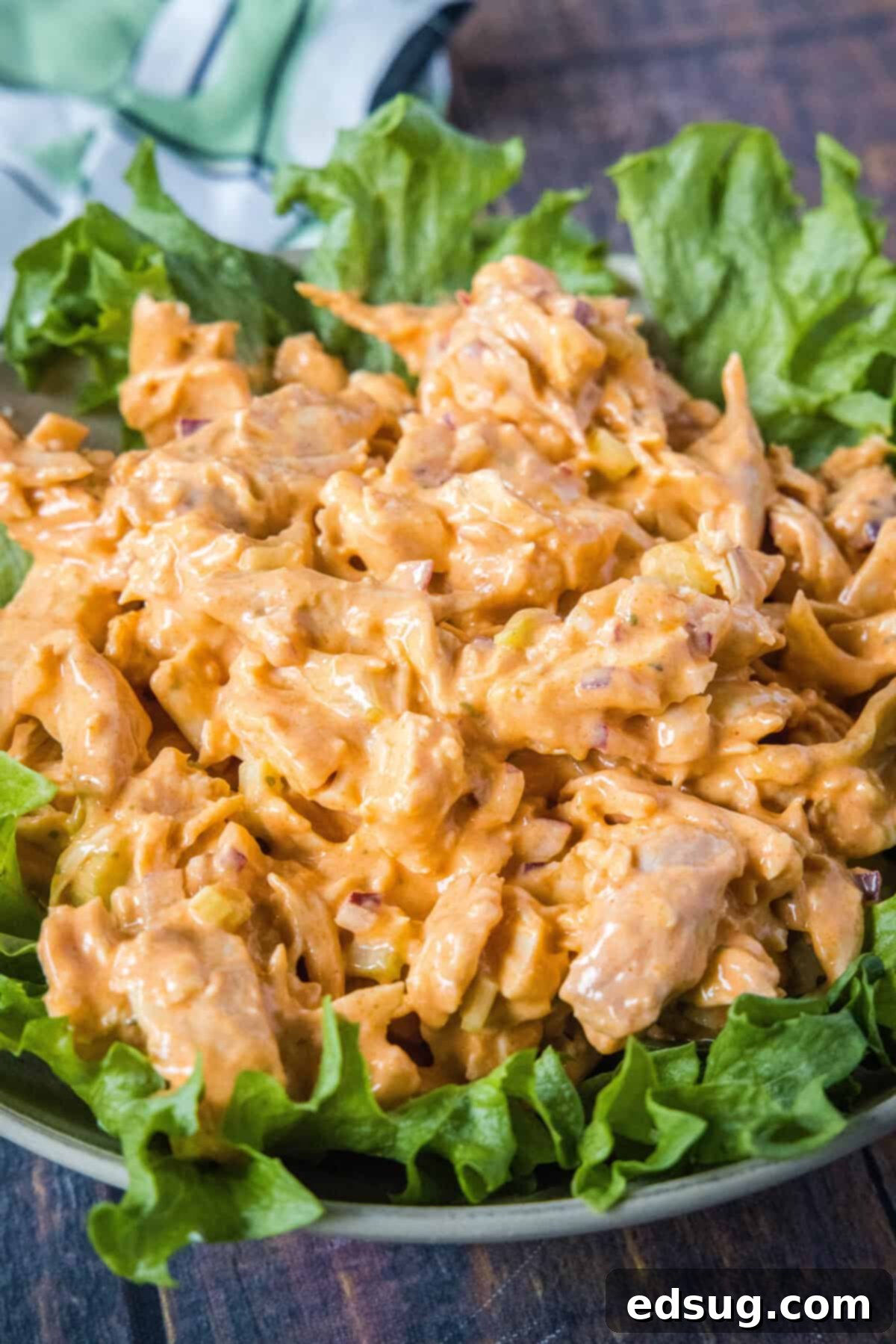 Fiery Buffalo Chicken Salad 2 buffalo chicken salad on a plate