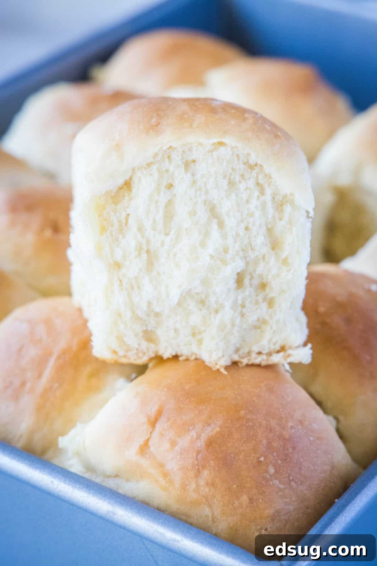 hawaiian roll stacked in a baking tray