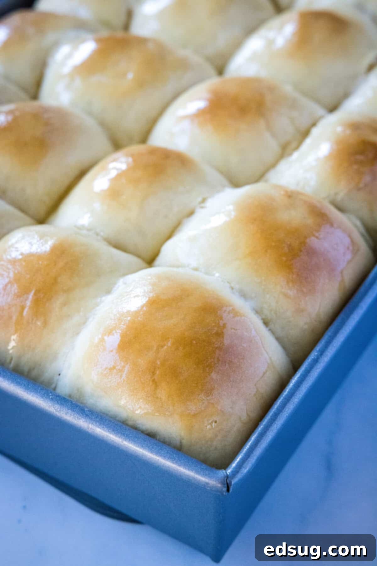 hawaiian rolls in a baking tray