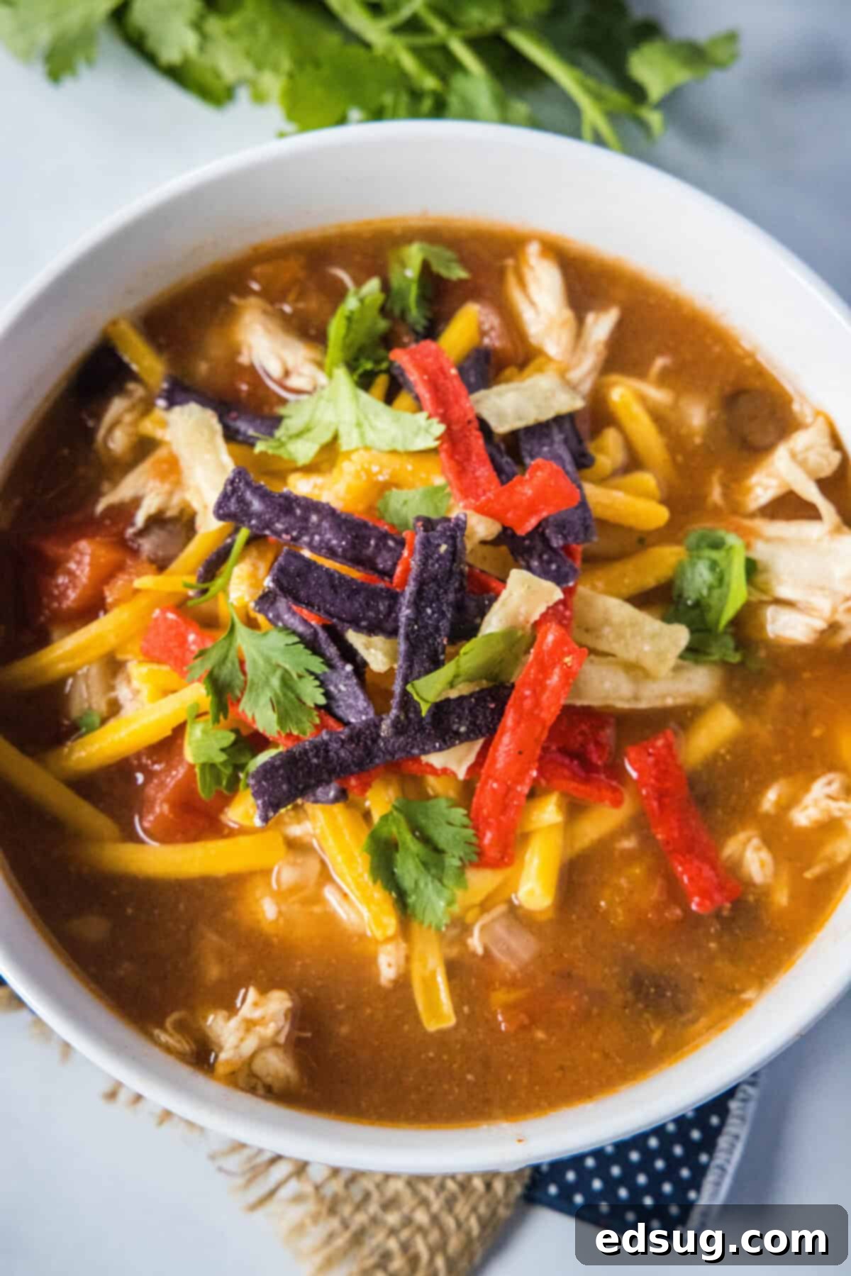 Overhead view of a vibrant bowl of Crockpot Chicken Tortilla Soup, garnished beautifully with toppings.