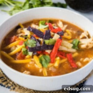 cropped close up tortilla soup in a bowl