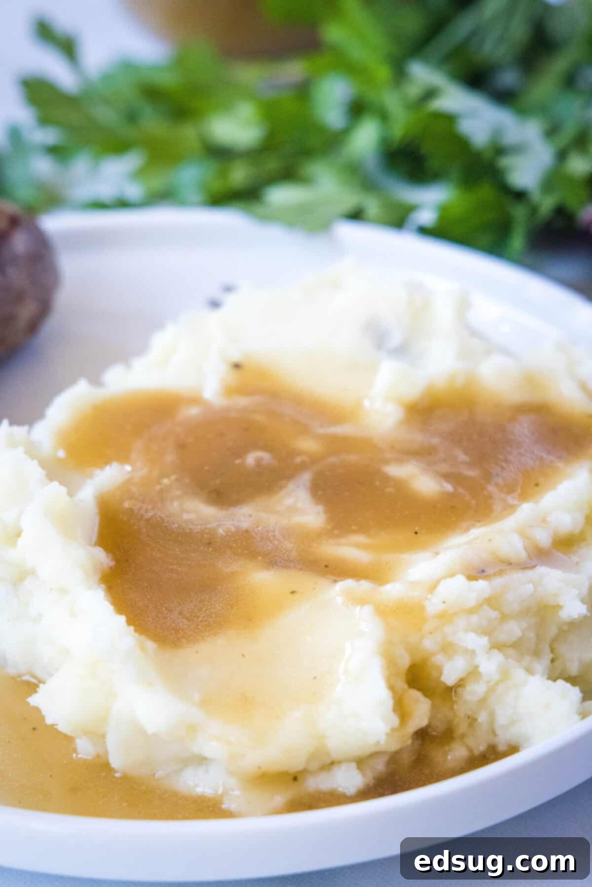 Hearty Pan Gravy 2 brown gravy over mashed potatoes on a white plate