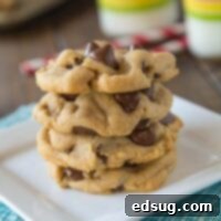 Ultimate Peanut Butter Chocolate Chip Cookies 3 Peanut Butter Chocolate Chip Cookies are soft, fluffy, and full of chocolate and peanut butter!