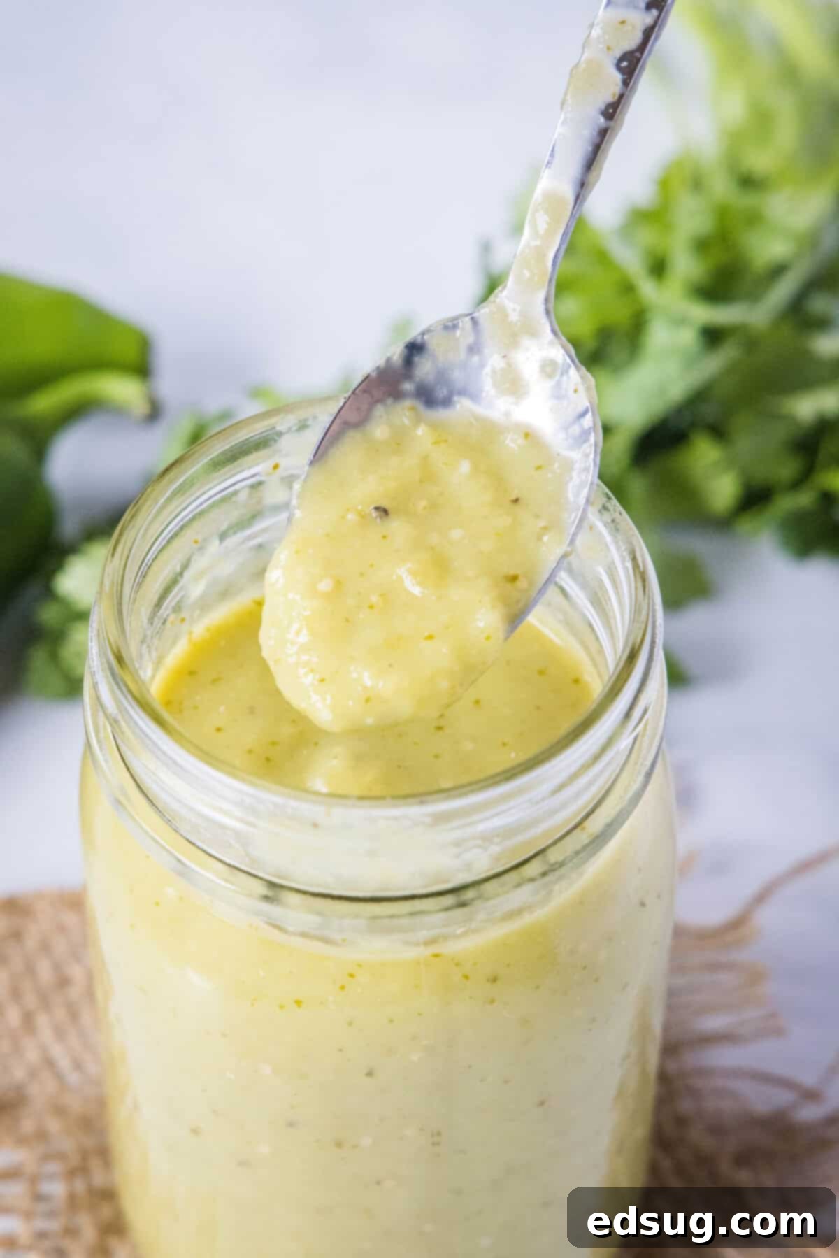Authentic Green Enchilada Sauce 2 A spoon scooping vibrant green chile enchilada sauce from a glass jar, highlighting its rich texture and inviting color.