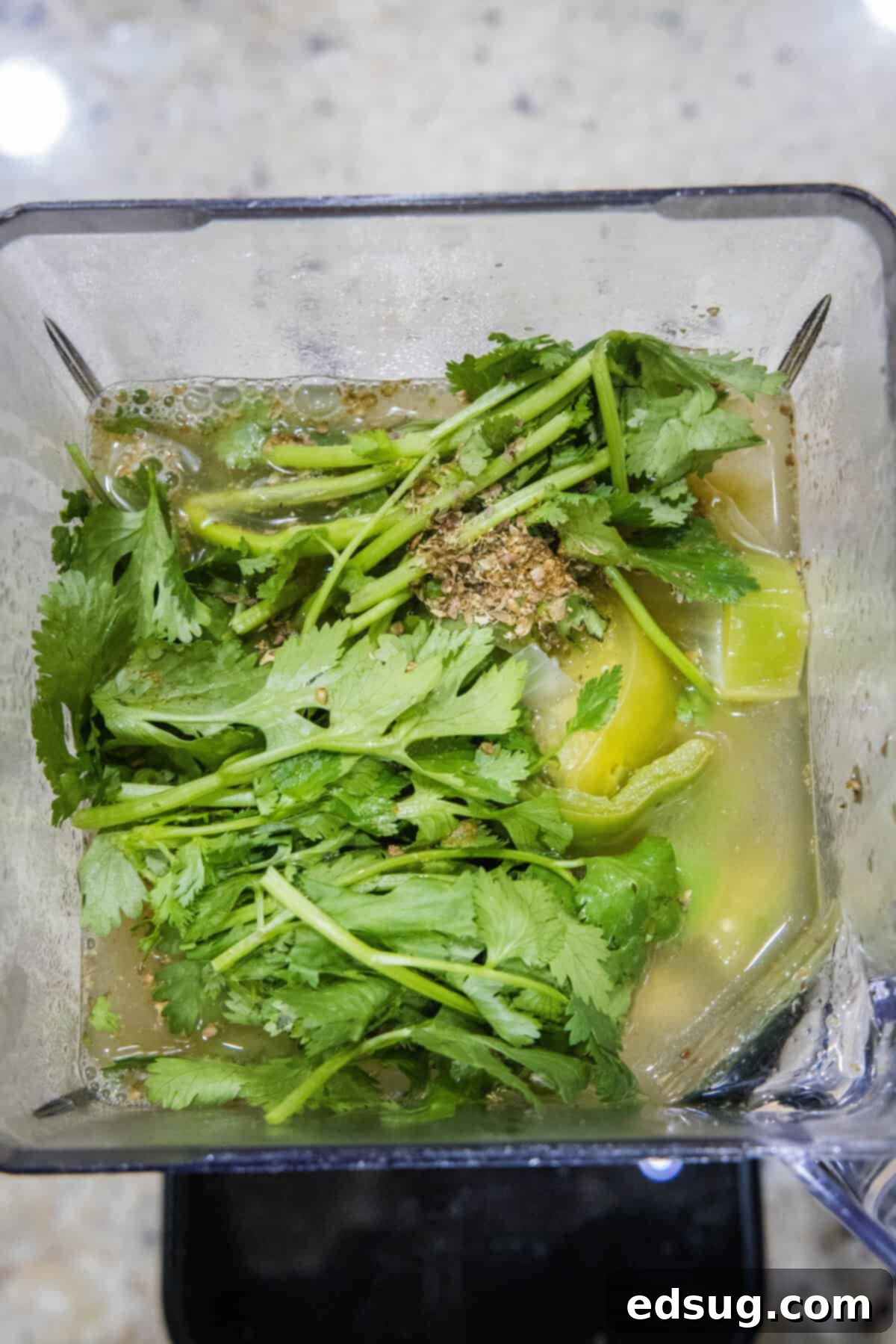 Authentic Green Enchilada Sauce 6 All the cooked green enchilada sauce ingredients, along with fresh cilantro, chicken broth, and spices, loaded into a blender, ready to be processed into a smooth sauce.