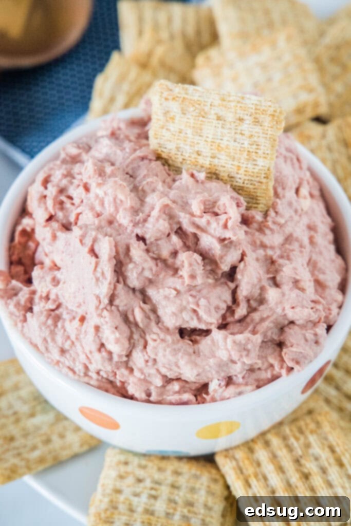 Savory Braunschweiger Dip 6 looking down on bowl of braunschweiger tip with crackers