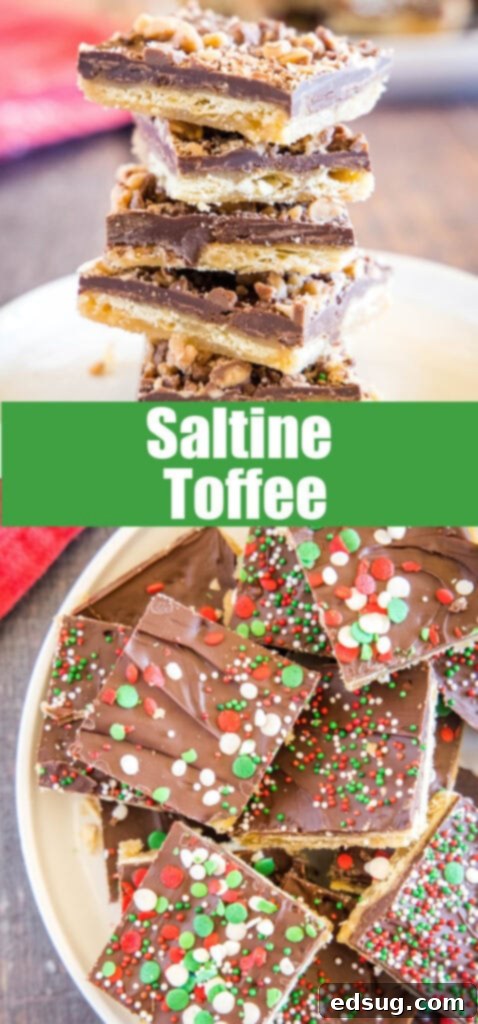 Addictive Chocolate Saltine Christmas Crack 5 saltine toffee close up on a white plate