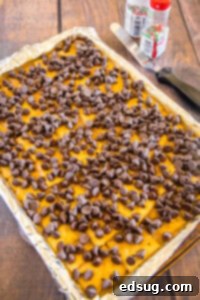 Addictive Chocolate Saltine Christmas Crack 8 chocolate chips on saltine toffee