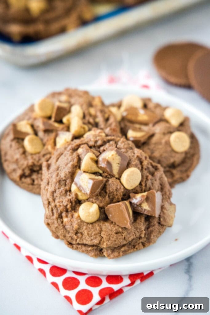 Close-up of baked chocolate peanut butter cookies with whole peanut butter cups on top, arranged on a white plate, emphasizing their soft texture and rich toppings.